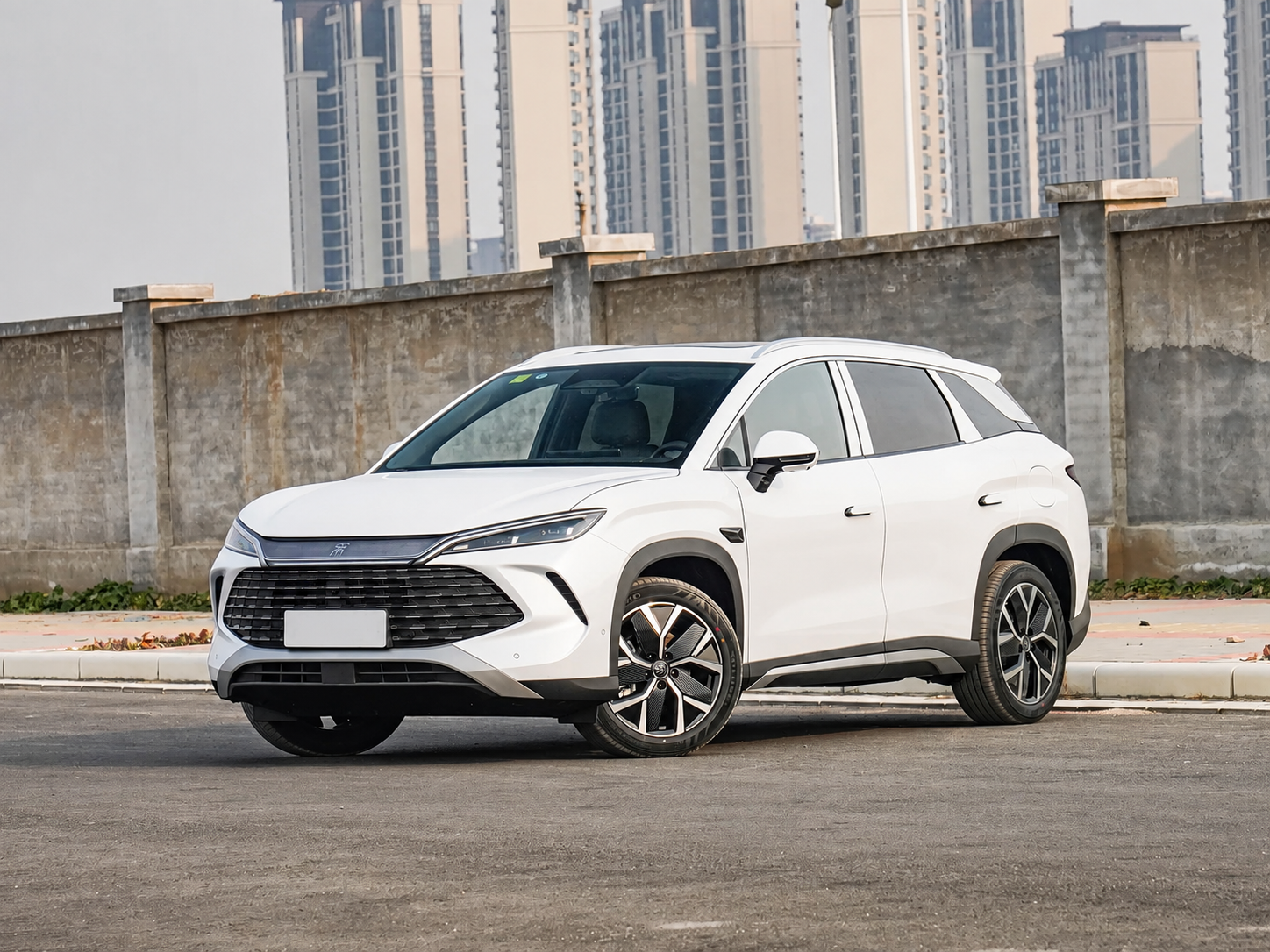 BYD Song L 2025 DM-i Smart Driving 160KM Superior Edition 16.58 - 2 