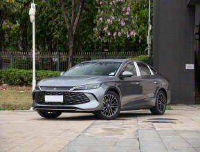 BYD Qin L 2025 DM-i Intelligent Driving Excellence - 2 