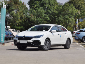 Donfeng Nissan Venucia D60 EV 2023 