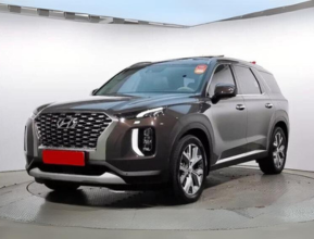 Hyundai Palisade 2018 - 8 