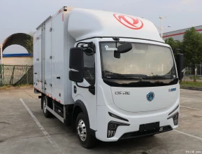 DONGFENG E-STAR REFRIGERATOR 2022 - 3 
